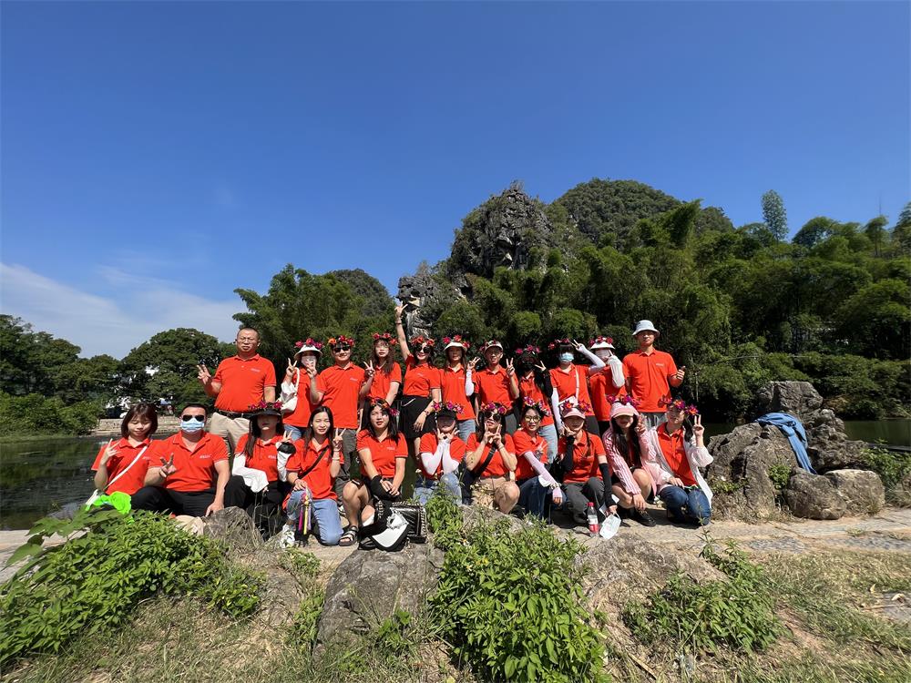 龙岗网站建设,深圳网络公司,龙岗网络公司